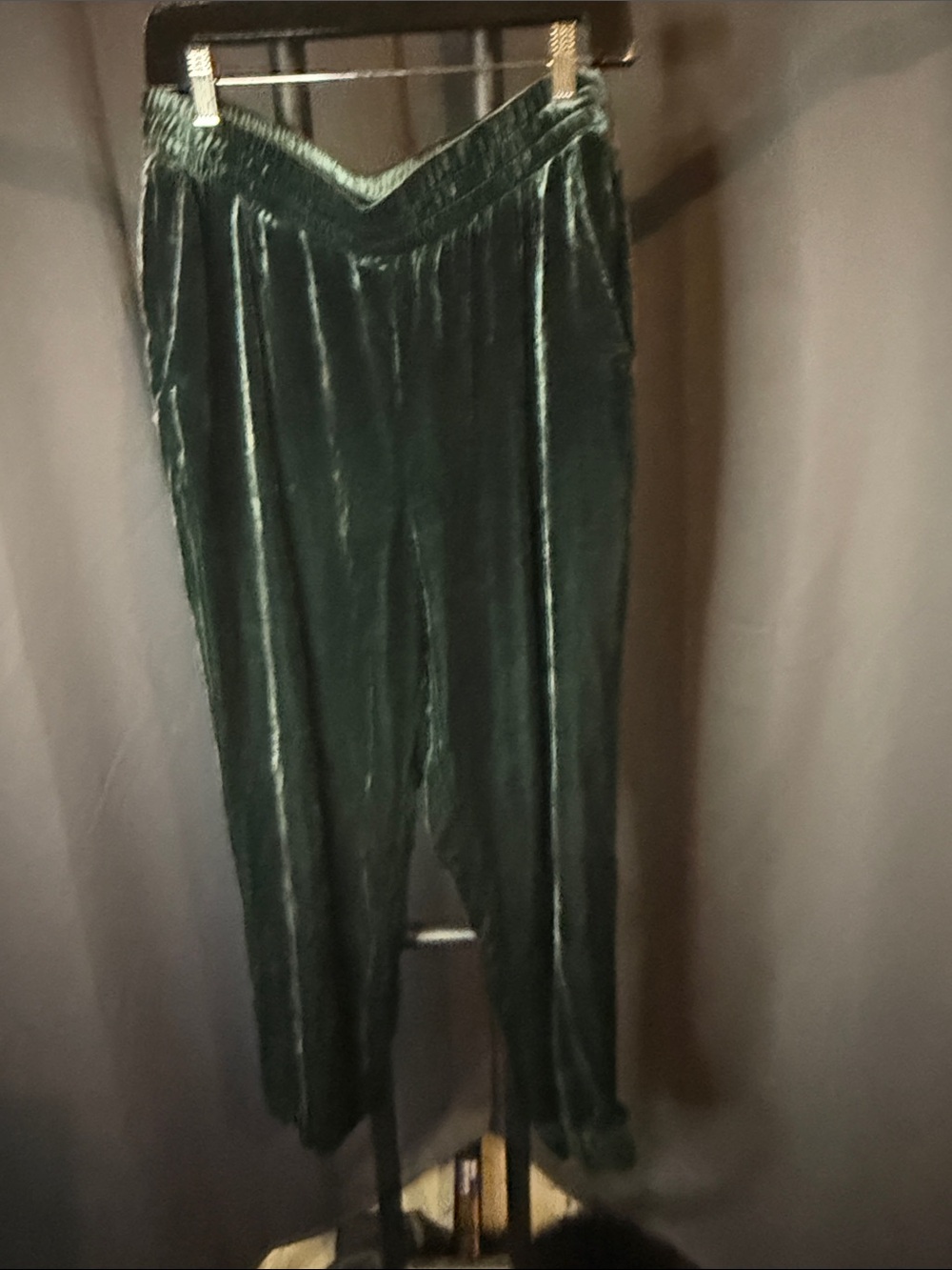 Banana Republic Emerald Velvet joggers Pants